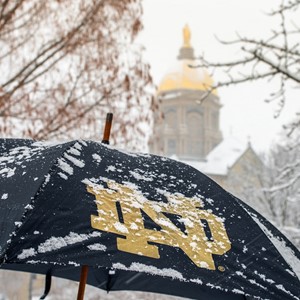 Umbrella and Snow.JPG