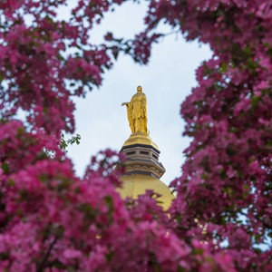 5.4.15 Mary Statue Spring Color.JPG